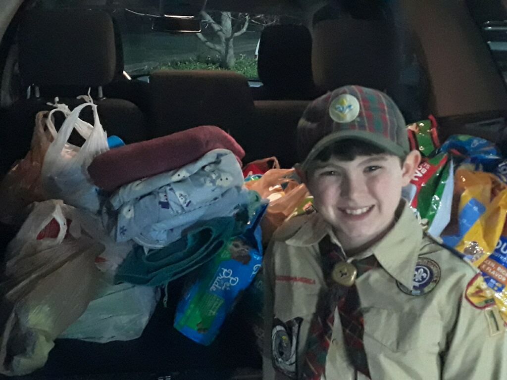 Animal shelter benefits from scout's donation
